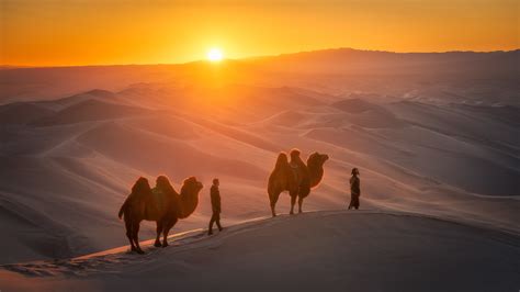 Download Desert People Sun Camel Photography Caravan HD Wallpaper