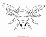 Insect Bumble Bee Coloring Page For Kids  Free Bumblebees Printable sketch template