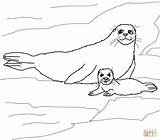 Great Seal Coloring Page Pages sketch template