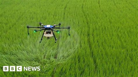 How drones could be the future of Indian farming - DigiMashable