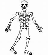 Walking Skeleton Coloring Page  Free Printable Pages sketch template