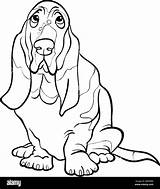 Coloring Hound Pages Basset Dog Dogs Cartoon Kleurplaten Honden  sketch template