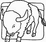 Disegno Da Colorare Di Bisonte Per Bambini  Vrogueco sketch template