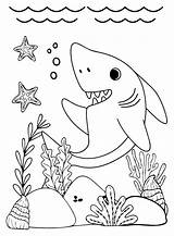 Great White Shark To Color Coloring Page  Free Printable Pages sketch template