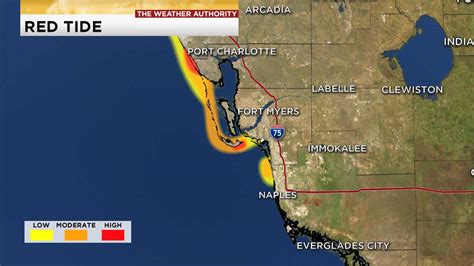 Portion of Fort Myers Beach clear of red tide in latest FWC map