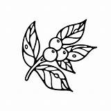 Premium Vector  Branches With Leaves And Berries Outline Doodle For sketch template