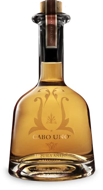 Cabo Wabo Tequila | Sammy Hagar Tequila | Food & Drink | Pinterest ...