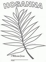 palm Sunday leaf coloring Page 543208 sketch template