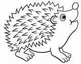 Hedgehog Coloring Pages For Kids sketch template