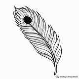 Peacock Feather Coloring Pages  Free & Printable sketch template