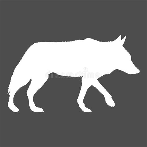 Wolf Walking Side View Vector White Silhouette Illustration Stock Vector - Illustration of ...