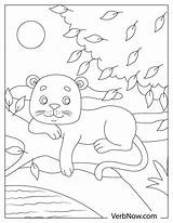 22 Free Panther Coloring Pages For Download Printable PDF sketch template