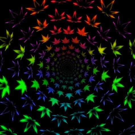 Weed Leaf GIFs - Find & Share on GIPHY