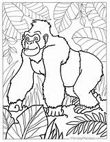 24 Gorilla Coloring Pages Free PDF Printables sketch template