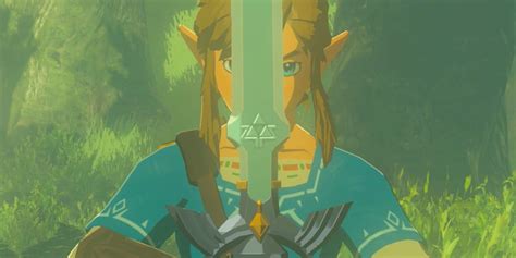 Breath of the Wild's Master Sword Acquired With A Single Bundle Of Wood