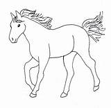 Cartoon Horse Coloring Pages  sketch template