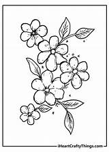 52 Flower Coloring Pages Easy Free Printable PDFs For Kids sketch template