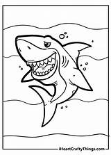 Free Printable Shark Coloring Pages Sketch Page sketch template