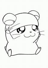 BAUZINHO DA WEB  BAÚ Hamtaro Desenhos E Riscos Para Colorir sketch template