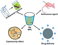 Coated silver nanoparticles: synthesis, cytotoxicity, and optical properties - RSC Advances (RSC ...