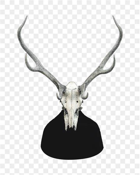 Deer Skull PNG Images | Free Photos, PNG Stickers, Wallpapers ...