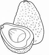The Best New Collection Of Avocado Coloring Sheets  Pages sketch template