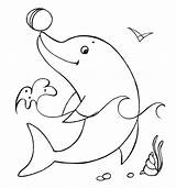 Dolphin With A Ball coloring Page  Download Print Or Color Online For sketch template