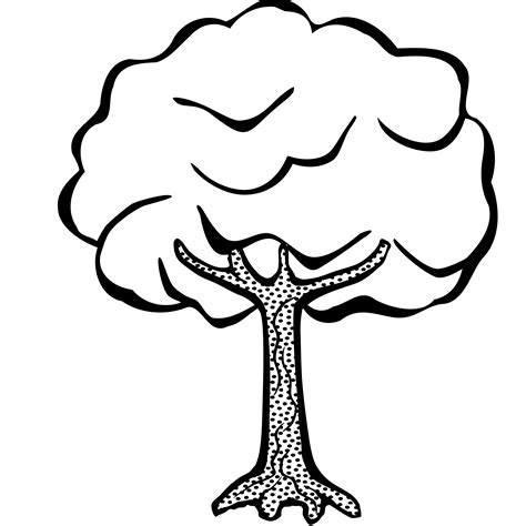 Black And White Vector Big Tree Clipart Tree Clipart Black And White | Images and Photos finder