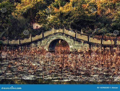 Culture Park, Chengdu, China Stock Image - Image of asian, decoration ...