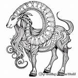 Zodiac Coloring Pages  Free & Printable sketch template