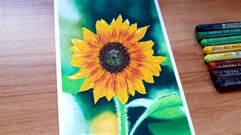 Sunflower Oil Pastel