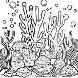 Coral Reef Coloring Pages  Free & Printable sketch template