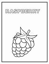 Raspberry Coloring Pages sketch template