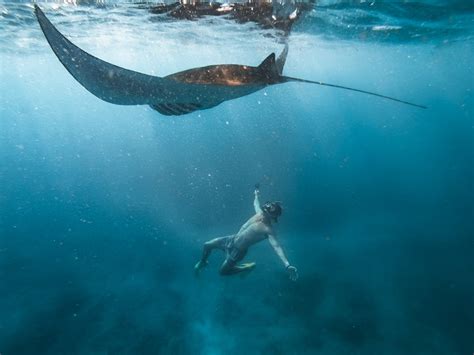 SNORKELING WITH MANTA RAYS AT MANTA POINT ON NUSA PENIDA, BALI ...