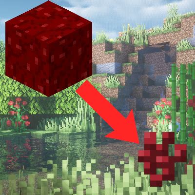 Download Nether Wart Blocks to Nether Warts [Fabric/Forge/NeoForge ...