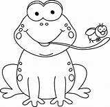 Black And White Frog Eating A Fly Clip Art  sketch template
