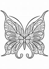 Free Printable butterfly Coloring Page  Butterfly Pages sketch template