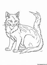 30  Warrior Cats Coloring Pages Free Printable PDF JPG PNG & Online sketch template