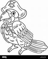 Pirate Parrot Coloring Page sketch template