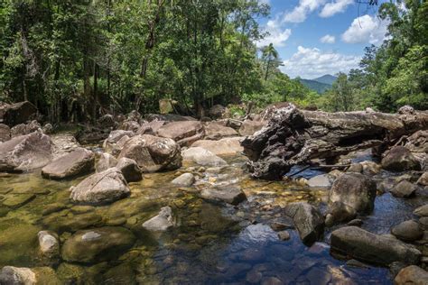 15 Best Things to Do in Mackay (Australia) - The Crazy Tourist