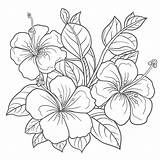 Hibiscus Coloring Pages With Leaves And Flowers Outline Sketch Drawing  sketch template