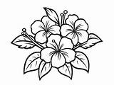 Hawaiian Flowers Coloring Delight  Page sketch template