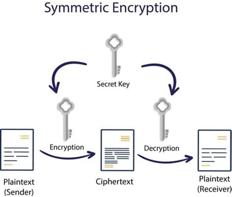 Secure Organization's Data With These Encryption Algorithms