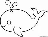 Whales Coloring Pages 27 Free Printables  ColoringAll sketch template