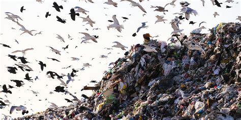 Over 235 Million Items Of Clothing Will End Up In Landfill Sites In The ...