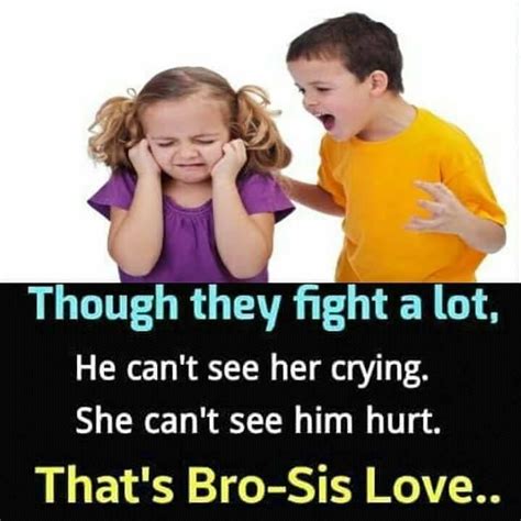 Quotes About Siblings Fighting - ShortQuotes.cc