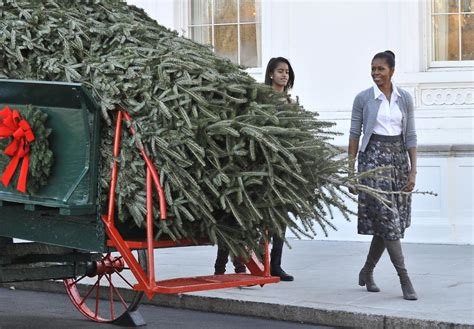 The White House Christmas Tree arrives - CBS News