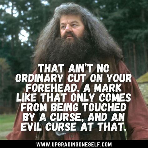 Hagrid quotes - Upgrading Oneself