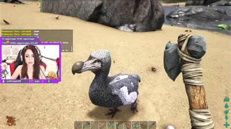 Ark Survival Evolved Dodo