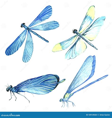 Watercolor Collection of Blue Dragonfly Illustrations. Stock Illustration - Illustration of ...